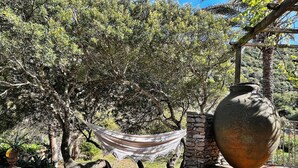 A hammock tied between trees, a large vase, and a stone wall in a garden setting. - Propriété de Charme à Bonifacio (Bonifacio)