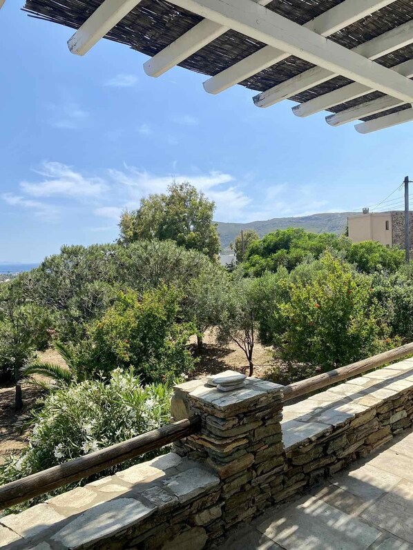 Property grounds - Cycladic Blue Andros (Γαύριο)