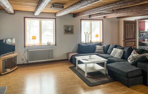 Fernseher, Kamin