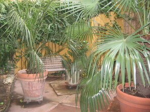 Property grounds - Maison D'artiste Avec Bambouseraie Enchanteresse aux Portes de Paris (Cachan)