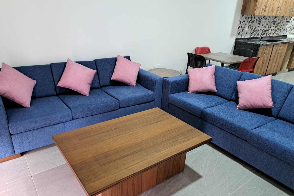 Departamento estándar | Área de sala de estar | Smart TV de 40 pulgadas con canales vía satélite