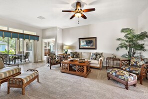 TV connectée, cheminée, lecteur de DVD, livres