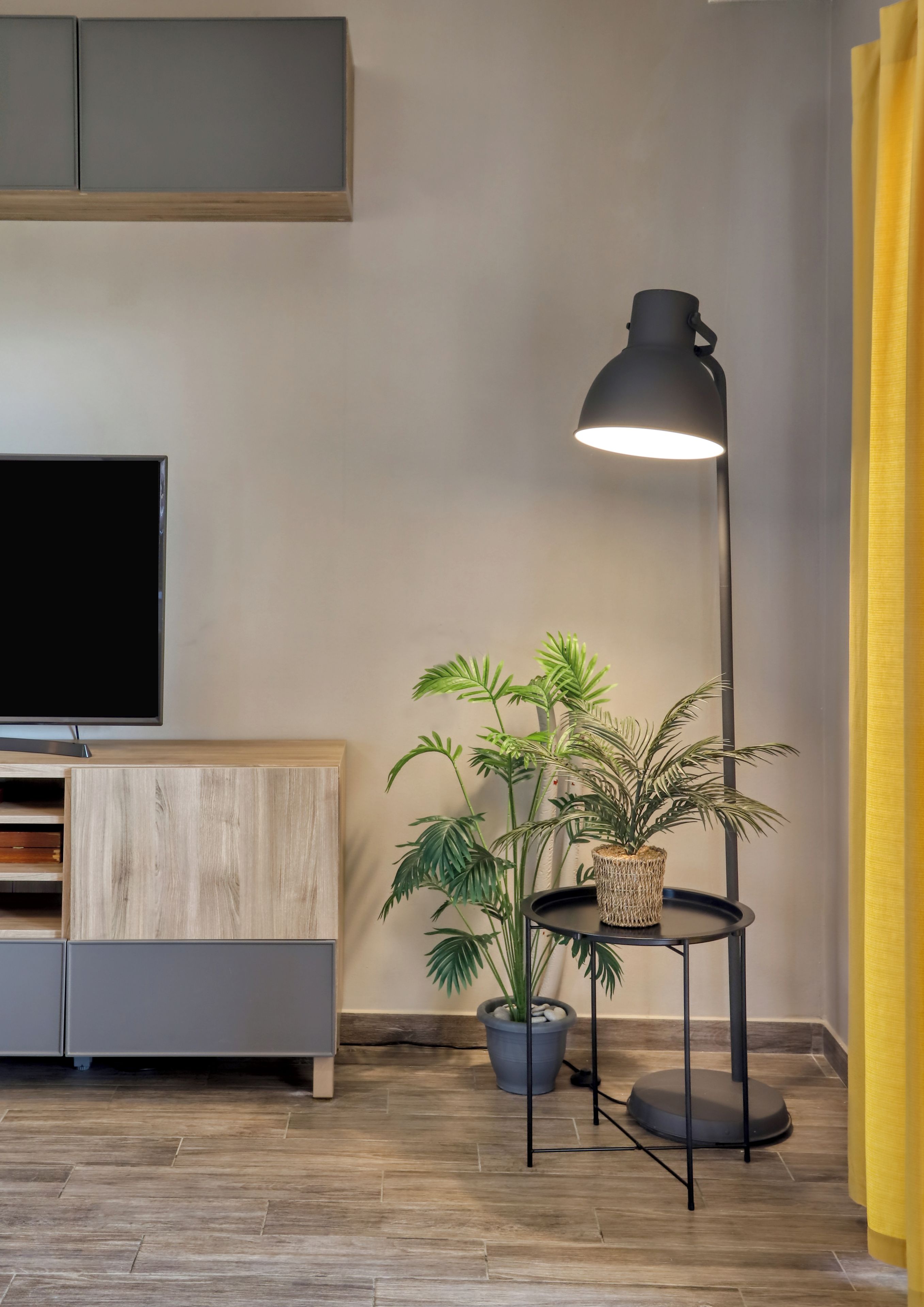 A modern living room with a flat-screen TV, a wooden cabinet, a floor lamp, and a potted plant.