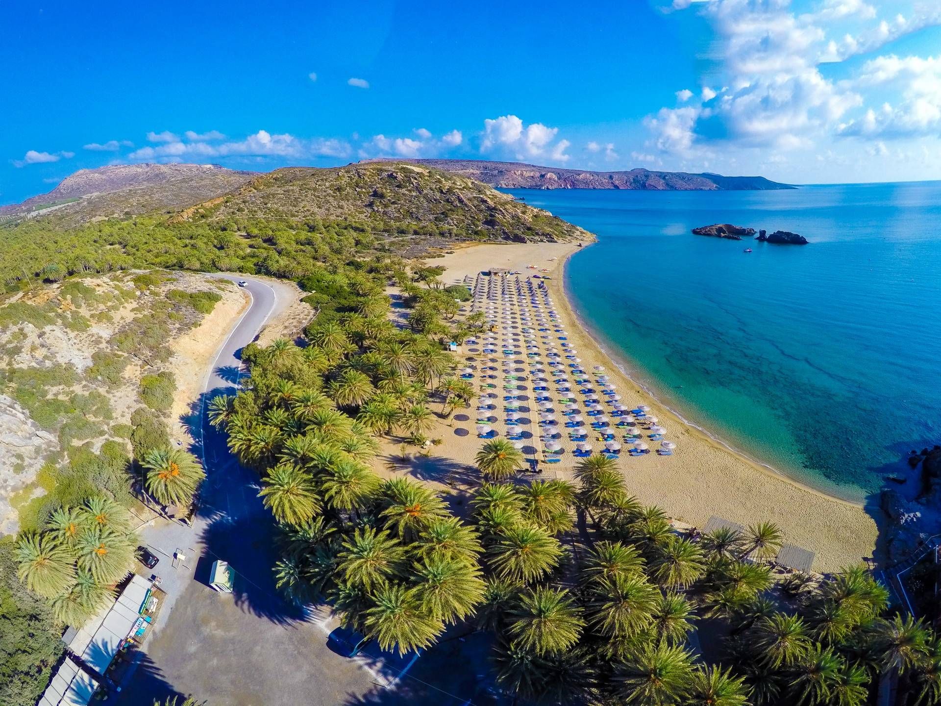 An aerial view of a beach with rows of sun loungers and umbrellas, palm trees, and a clear blue sea.