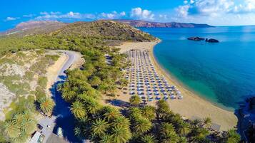An aerial view of a beach with rows of sun loungers and umbrellas, palm trees, and a clear blue sea.