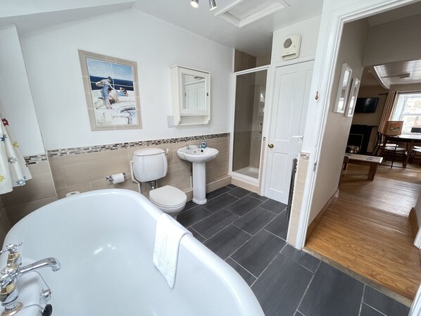 Combined shower/tub, hair dryer, towels