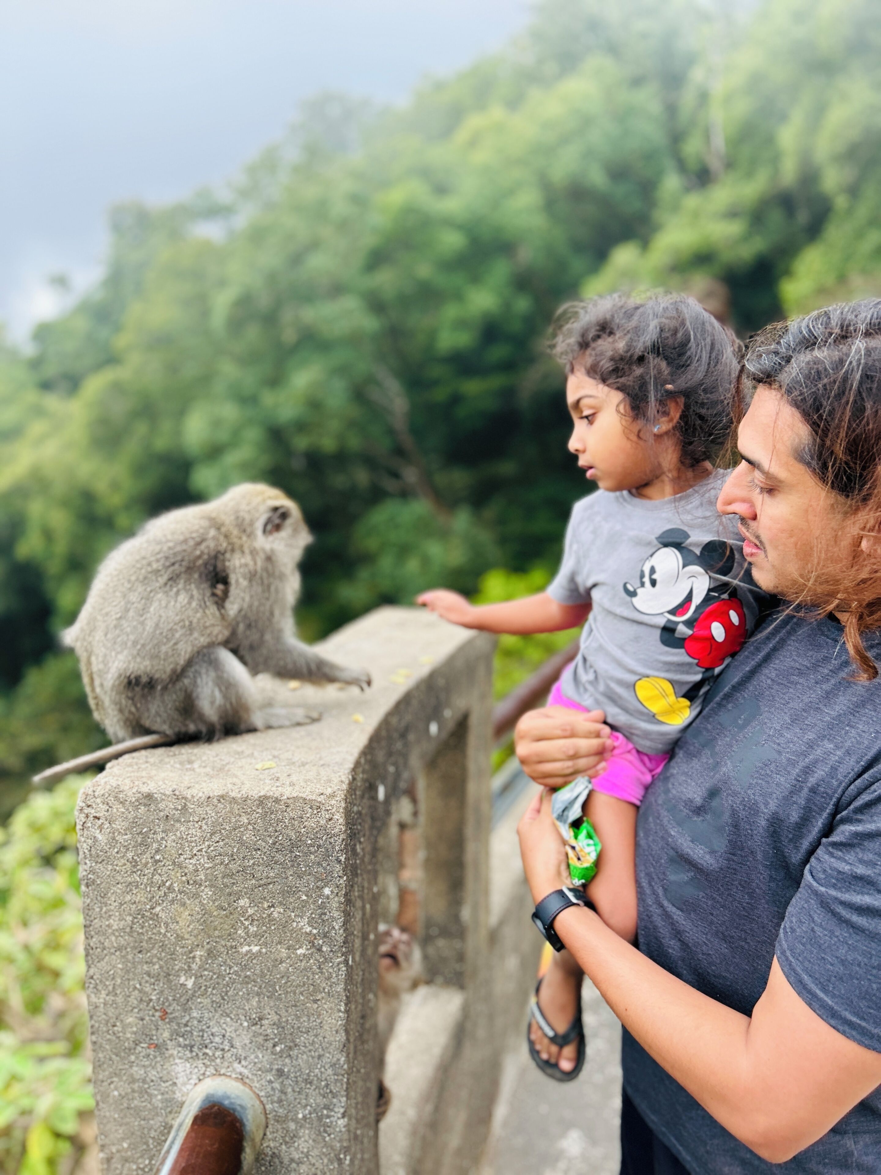 A monkey sitting on a concrete ledge.