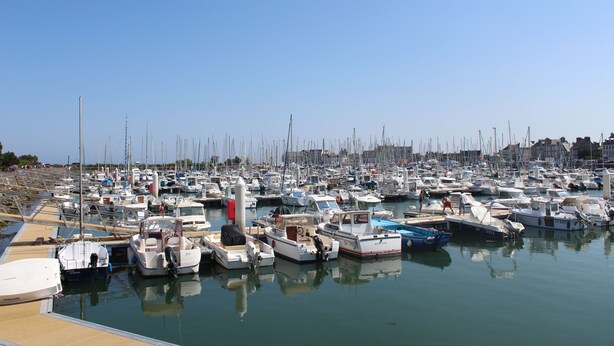 A marina with numerous boats docked.