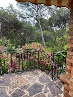A stone-tiled outdoor area with a metal railing, surrounded by lush greenery and trees.
