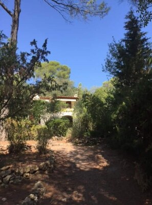 Property grounds - House between Esterel and Beaches (Fréjus)