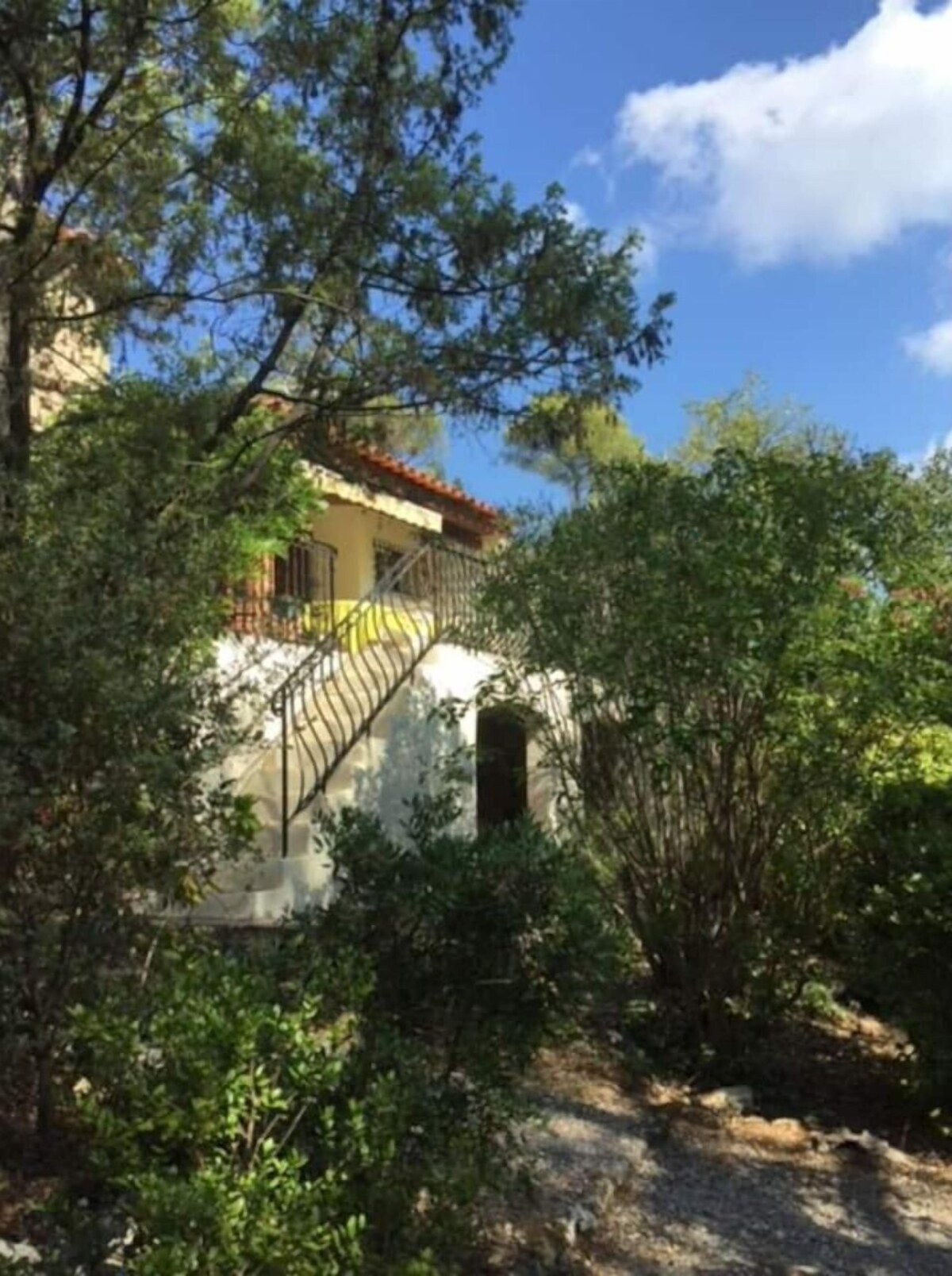 オーナーのプロフィール画像