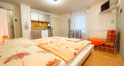 Lovely apartment in heart of Liptov