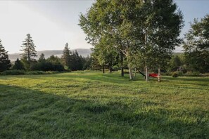 Terrain de l’hébergement 