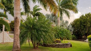 A well-maintained garden with palm trees, a stone wall, and a grassy lawn.