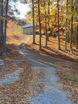 Property grounds - Secluded Apartment in the Woods  Near Claytor Lake and  Virginia Tech (Hiwassee)
