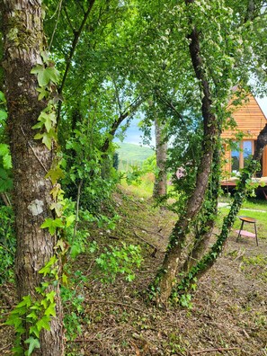 Property grounds - Chalet en A de la Motte-fanjas (La Motte-Fanjas)