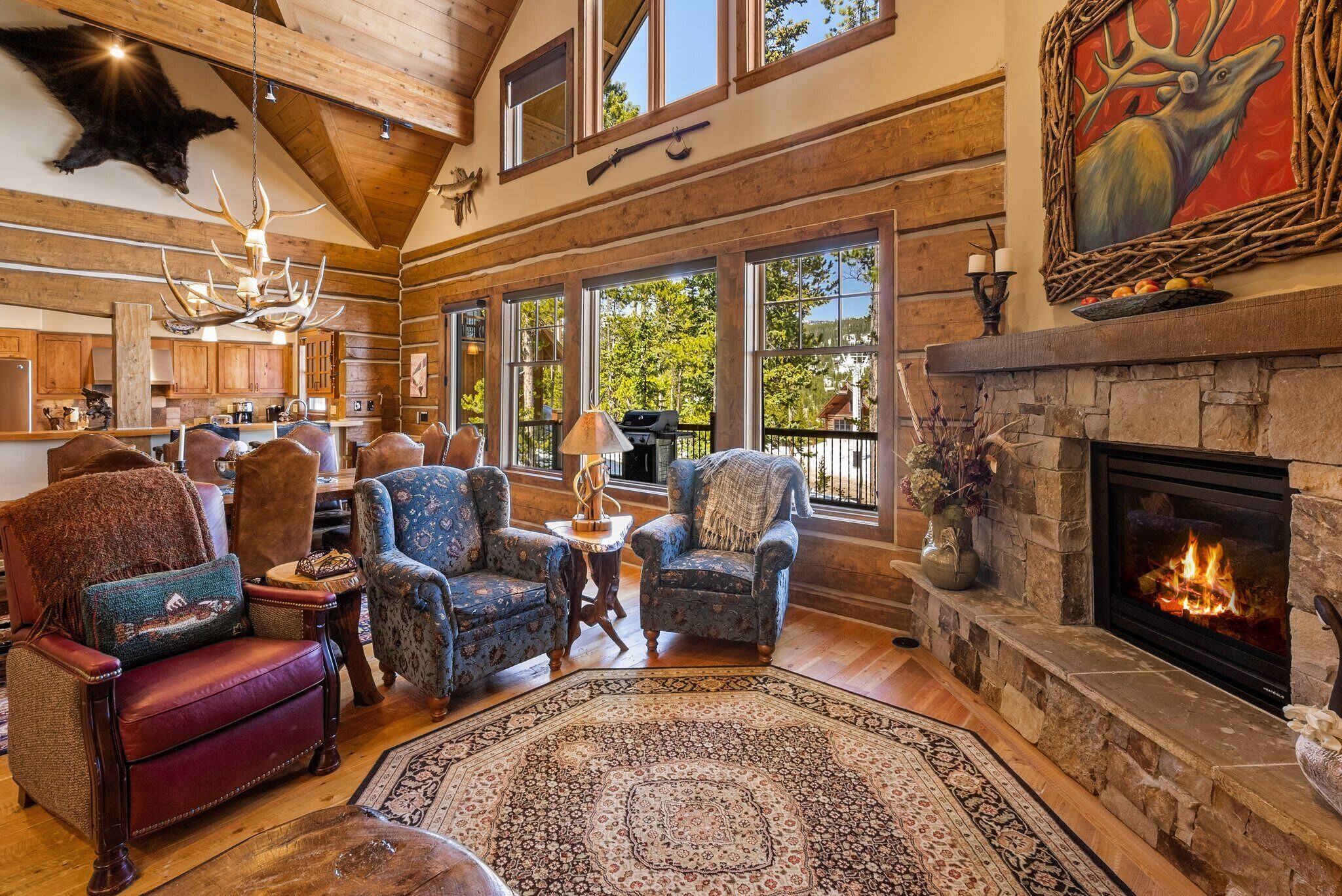 TV, peis, bøker og kontorer