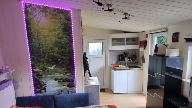 Kompakti olohuone, jossa on sohva, pieni keittiö ja ikkunasta avautuva näkymä metsään.