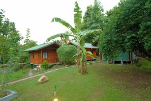 Premium bedding, individually furnished, desk - Moi Udawalawe (Udawalawa)