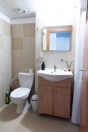 A bathroom with a toilet, sink, and mirror.