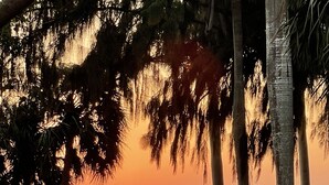 Ein Sonnenuntergang über einem Park mit einem See, Bänken und Spaziergängern.