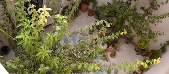 Riad Git El Menzeh une maison d'hôte spectaculaire et confortable