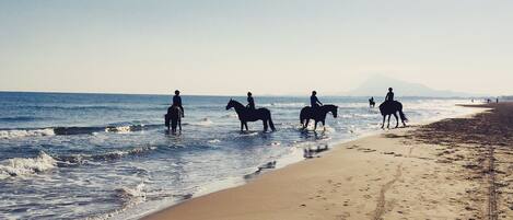 Strand