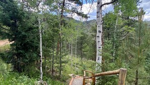 Una terraza de madera con un sendero de grava, rodeada de un bosque denso y abedules.