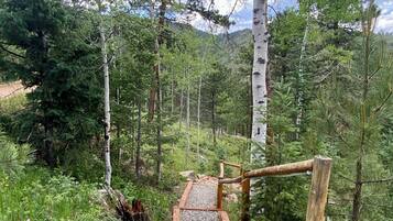 Área da propriedade