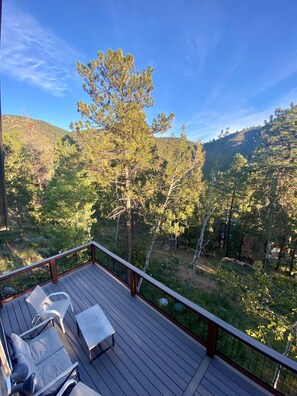 Property grounds - At Catamount trailhead. Secluded. Game Room. Pet Friendly (Green Mountain Falls)
