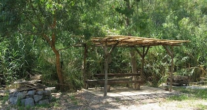 Exclusive alternative to camping in the shade of ancient poplars