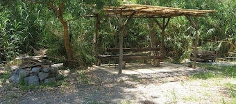 Exclusive alternative to camping in the shade of ancient poplars