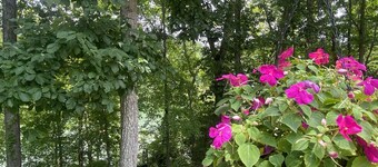 Cozy Waterfront Lake Home on Nolin Lake & Close to Mammoth Cave