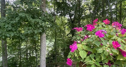 Cozy Waterfront Lake Home on Nolin Lake & Close to Mammoth Cave
