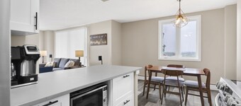 Newly Renovated Modern Downtown Condo