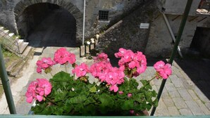 Ein Steinhaus mit großem Bogenportal, einem Metallzaun und einem Blumentopf mit rosa Blüten.