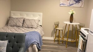 Room - A cozy short-term lower level rental in quiet  area of Baltimore City (Baltimore)