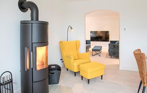 Smart-TV, Kamin