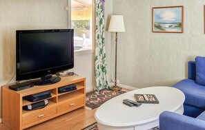 Televisión, chimenea y reproductor de DVD 