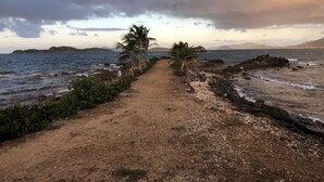 Uma trilha costeira com palmeiras e terreno rochoso que leva ao mar.