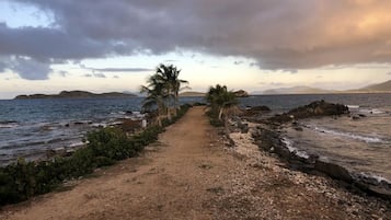 Tumbonas y toallas de playa