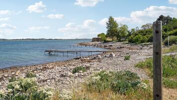 Vlak bij het strand, vissen