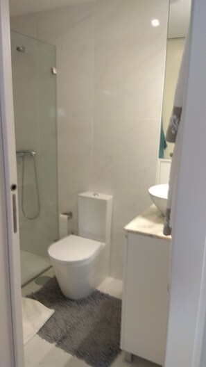 Dusche, Haartrockner, Handtücher, Seife