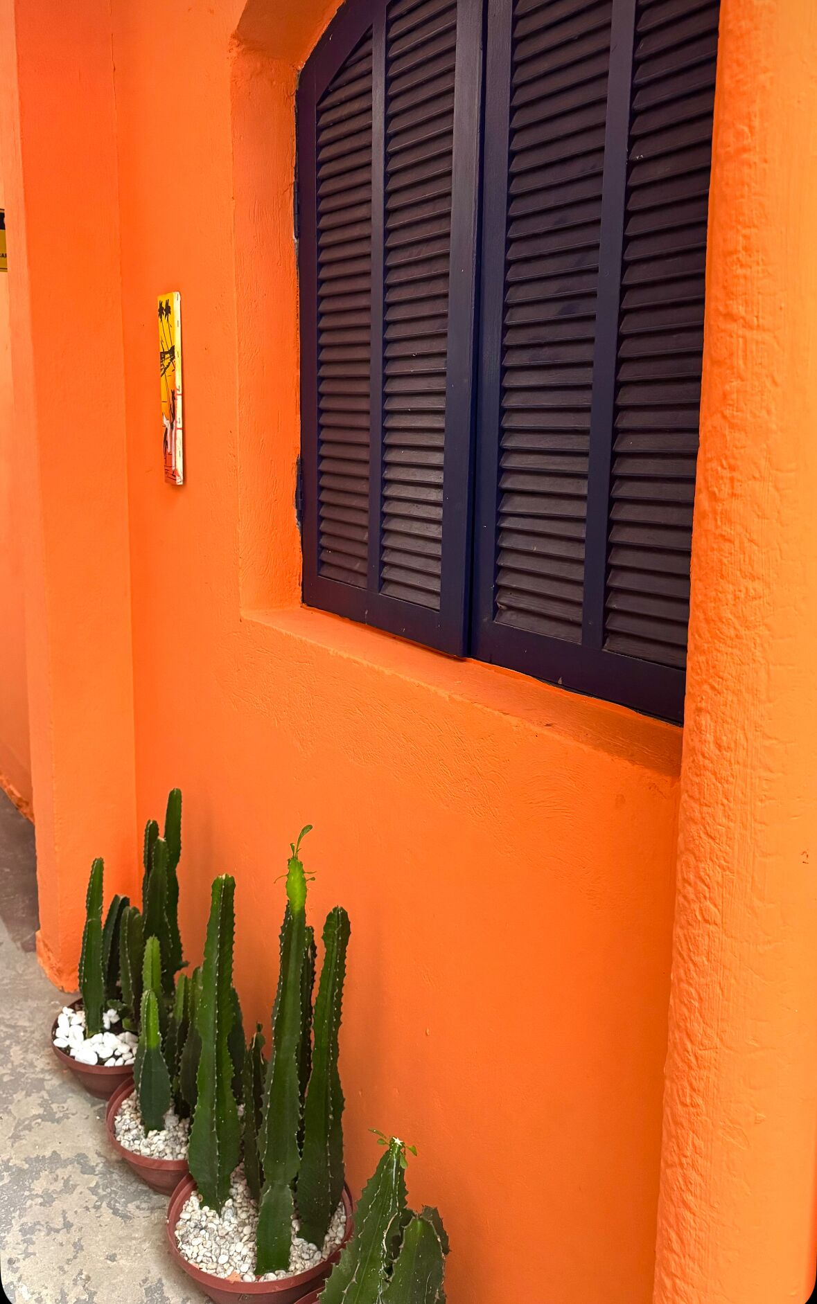 Foto - Pinheiros Hostel & Food