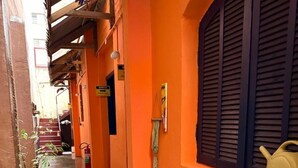 Ein schmaler Gang mit orangefarbenen Wänden, Kakteen in Töpfen und einem gelben Teekessel auf einem Fensterbrett.