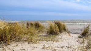 En strand med sanddyner och gräs.