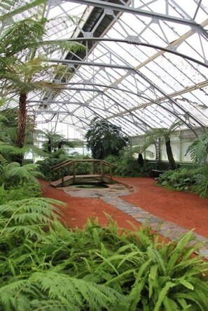 Property grounds - Chic Caulfield North Retreat (Caulfield North)