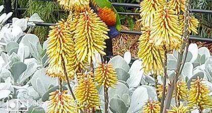 South Yarra Urban Haven