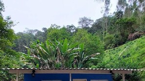 Un edificio pequeño de una sola planta, con fachada azul, una puerta y un ventanal. Está rodeado de abundante vegetación y una zona pavimentada al frente.