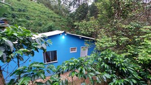Una pequeña casa azul rodeada de abundante vegetación.